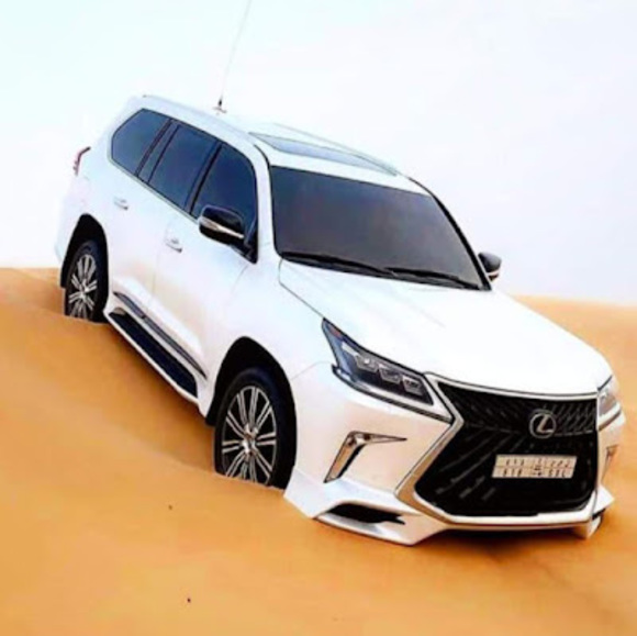 Meet your Posher, Rayan - Picture 1 of 1